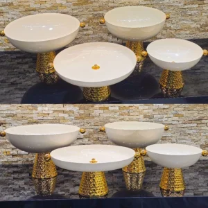 سرویس پذیرای کاریزما ساچمه