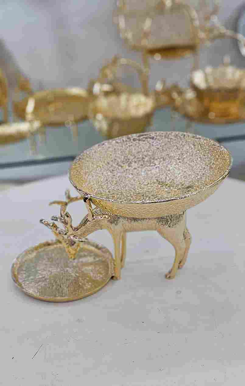 photo_2025-11-25_12-39-00_11zon