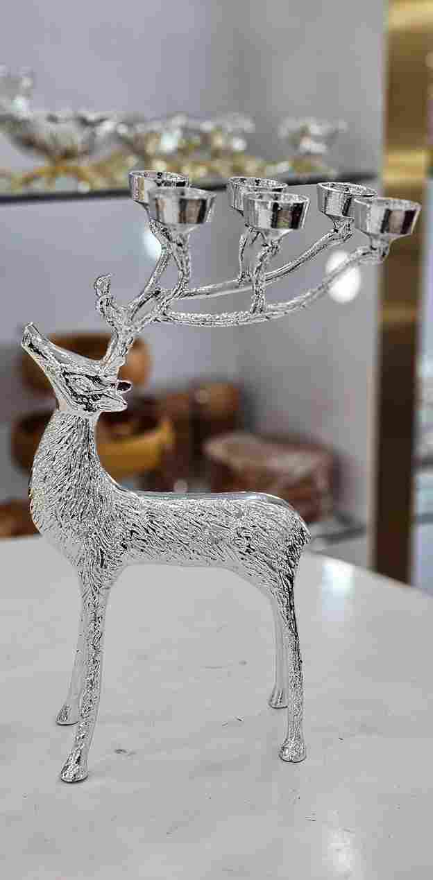 photo_2025-12-28_11-45-19_11zon