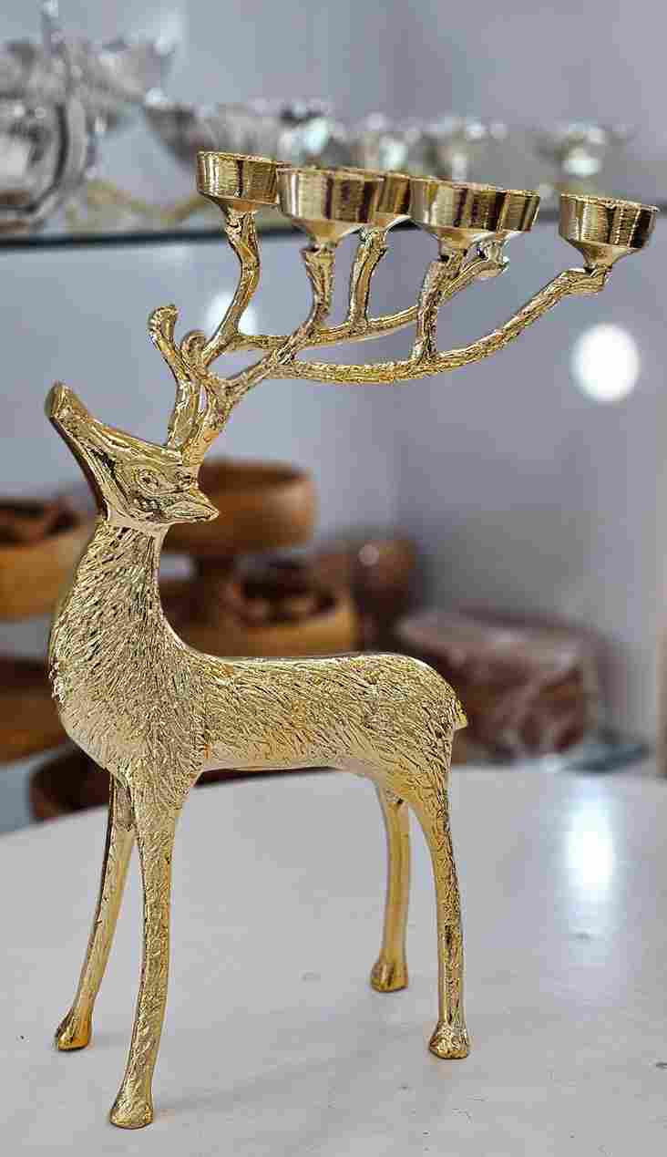 photo_2025-12-28_11-45-22_11zon